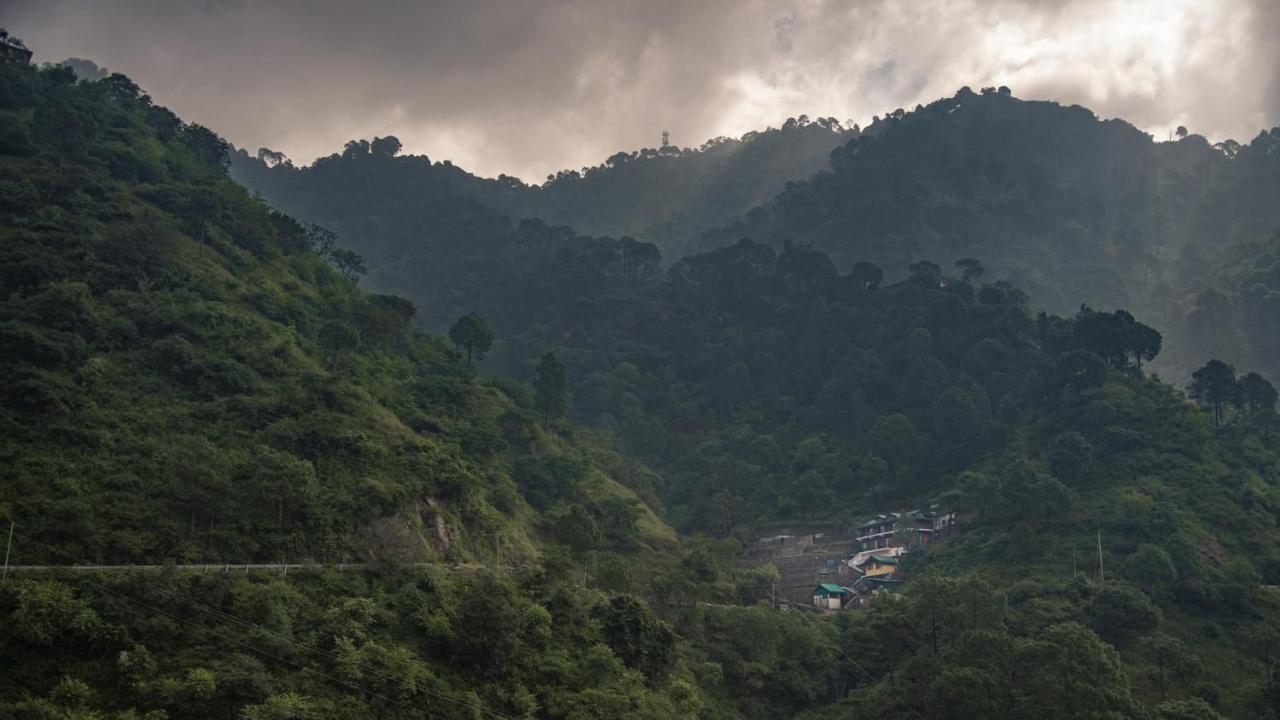 Safarmaina Resort Kasauli Dış mekan fotoğraf