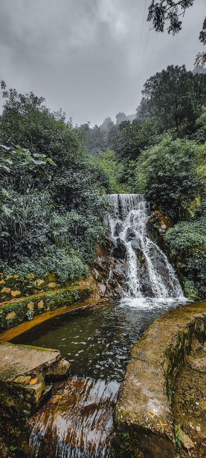 Safarmaina Resort Kasauli Dış mekan fotoğraf