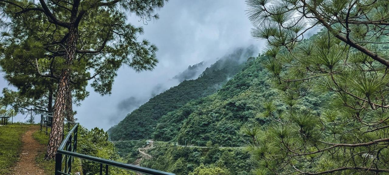 Safarmaina Resort Kasauli Dış mekan fotoğraf