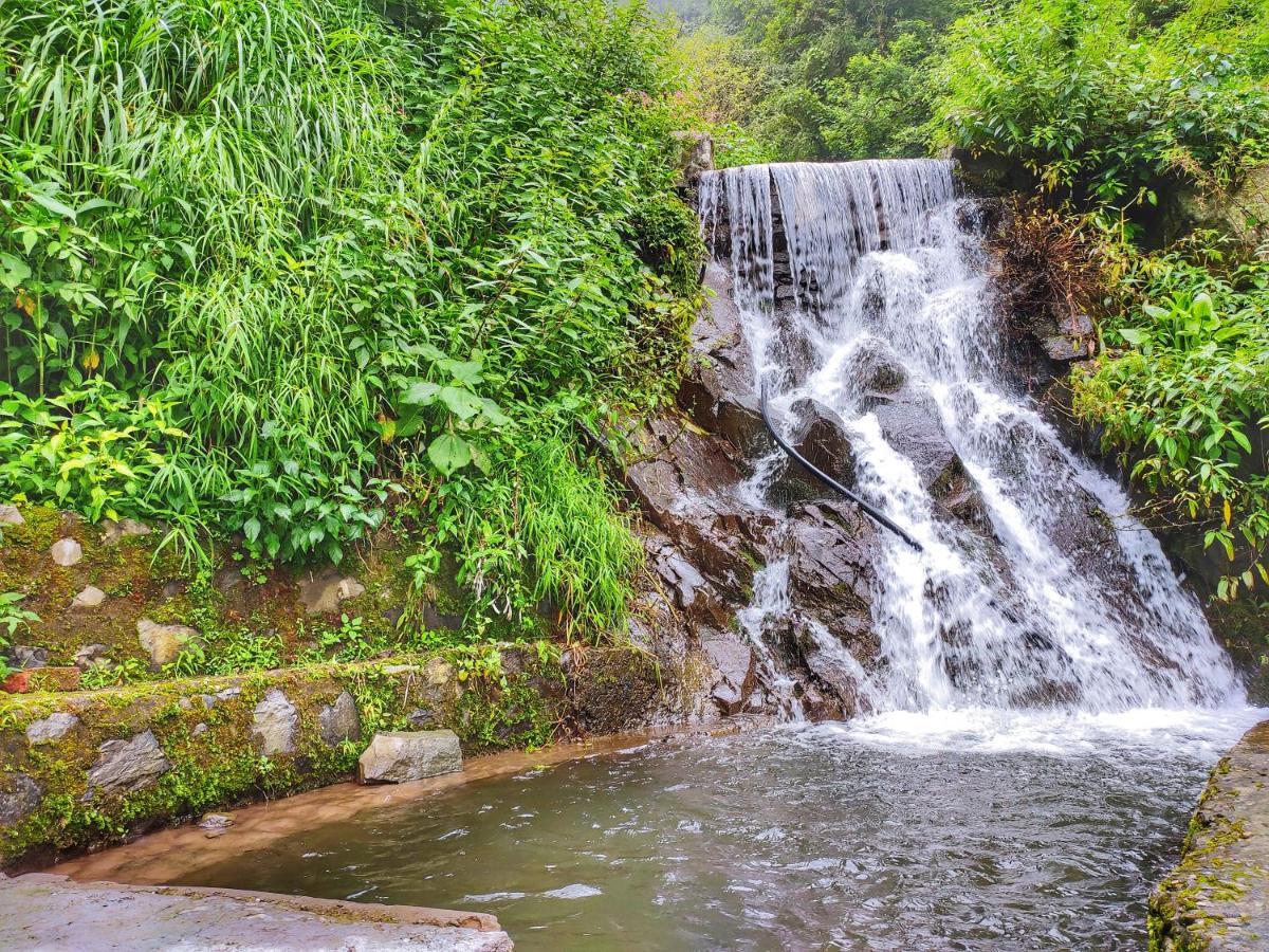 Safarmaina Resort Kasauli Dış mekan fotoğraf